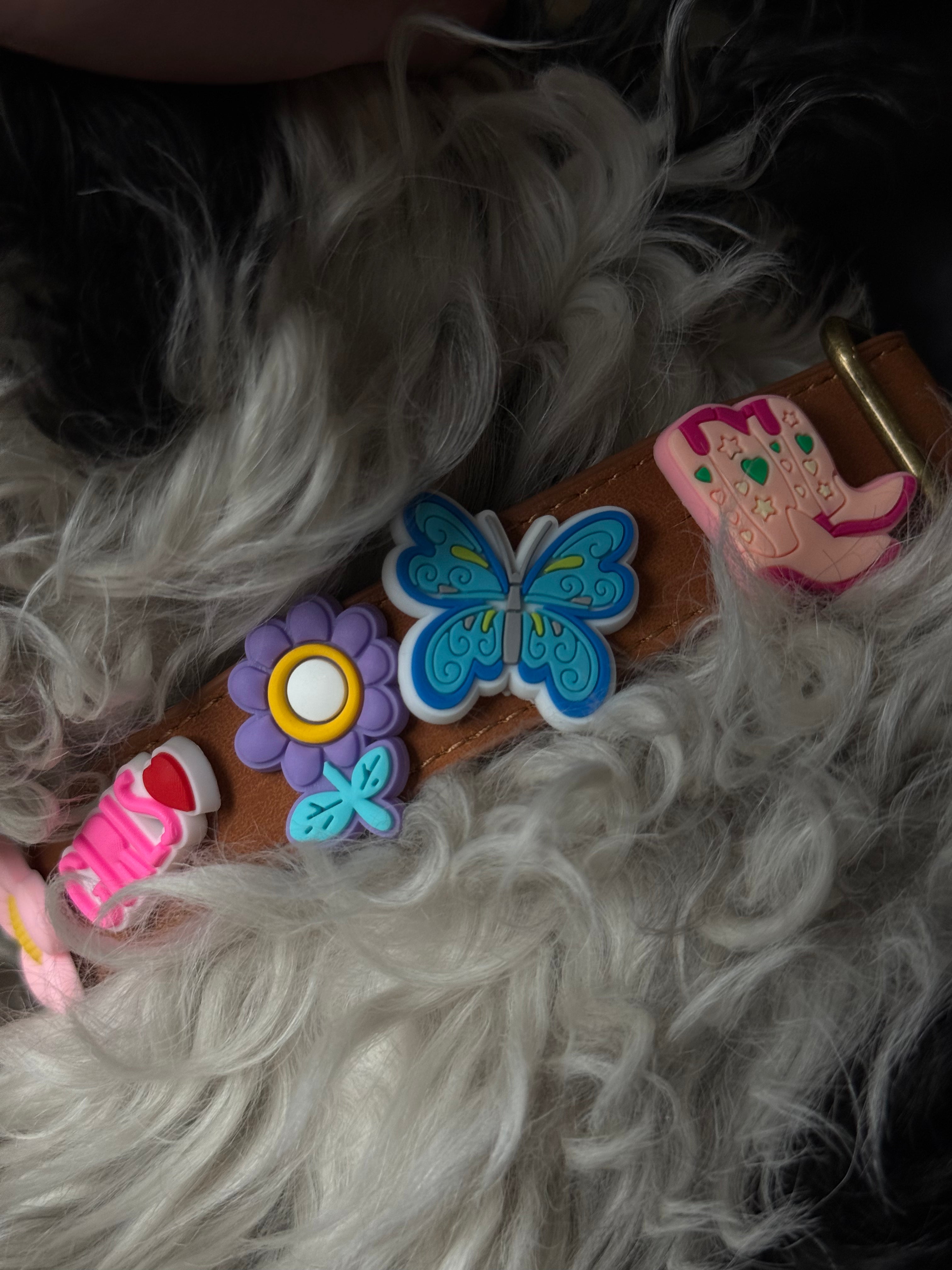 Vegan Leather Collar + Starter Charm set